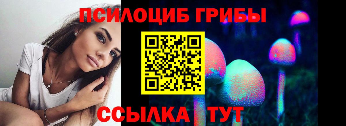 Галлюциногенные грибы MAGIC MUSHROOMS  Вход с VPN  даркнет сайт  Владикавказ 
